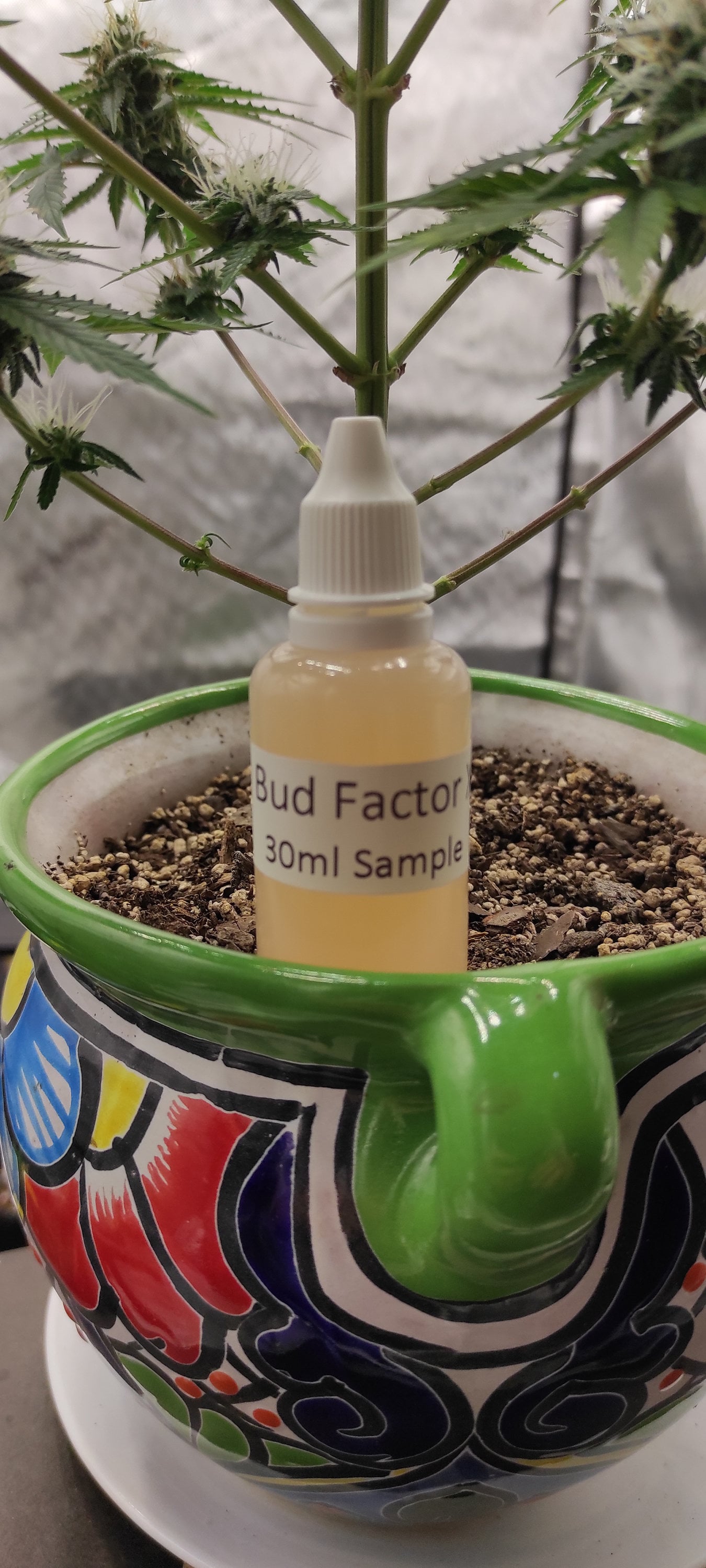 Bud Factor X Advanced Nutrients 1oz 30ml bottle sample tester 2023 New Batch